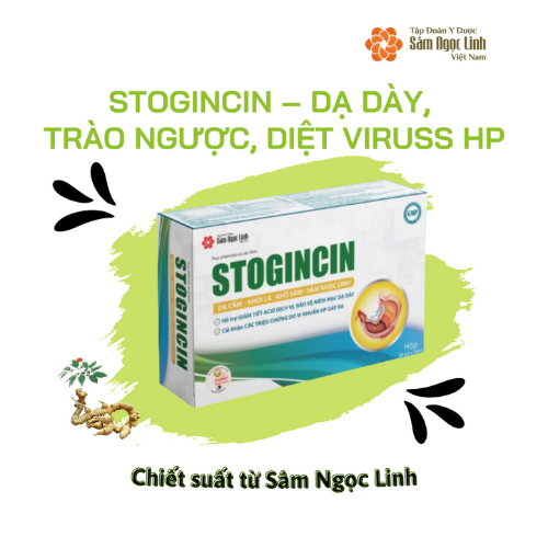 Stogincin – Dạ Dày, Trào Ngược, Diệt Viruss HP
